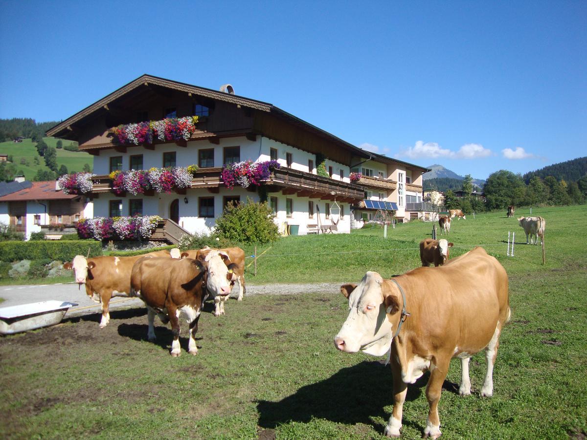Sixenhof Apartamento *